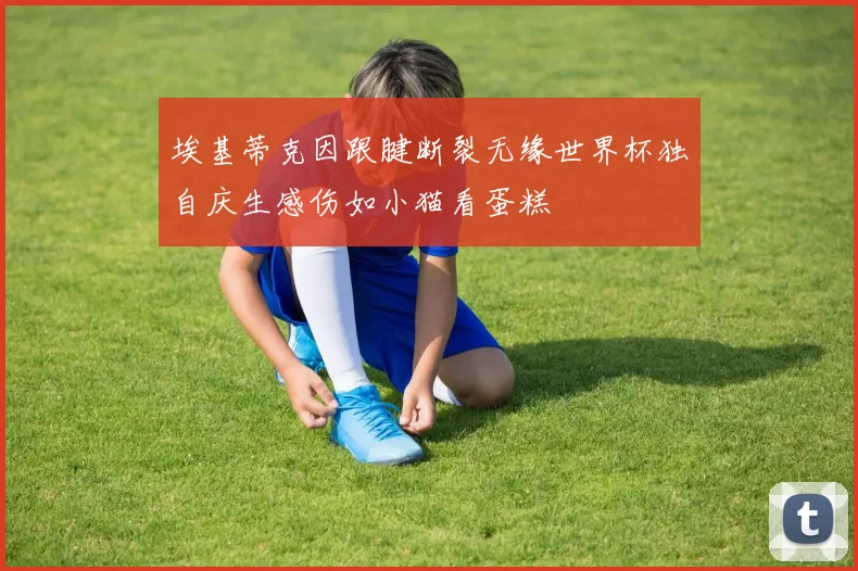 埃基蒂克因跟腱断裂无缘世界杯独自庆生感伤如小猫看蛋糕