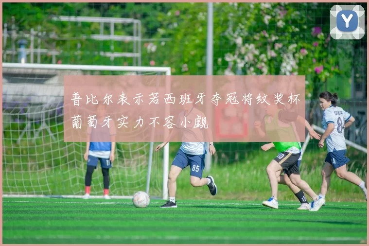 普比尔表示若西班牙夺冠将纹奖杯葡萄牙实力不容小觑