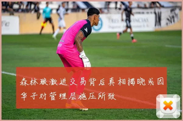 森林狼激进交易背后真相揭晓或因华子对管理层施压所致